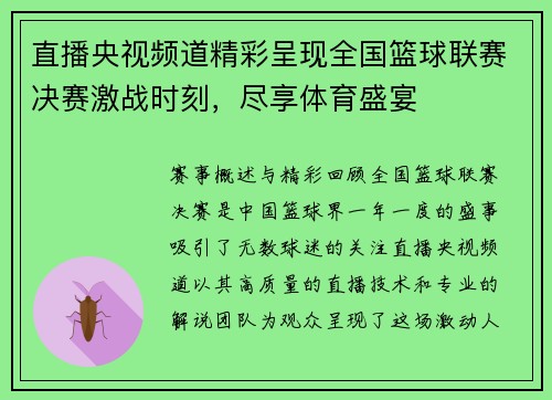 直播央视频道精彩呈现全国篮球联赛决赛激战时刻，尽享体育盛宴